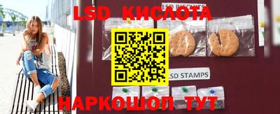 прущие грибы Апшеронск