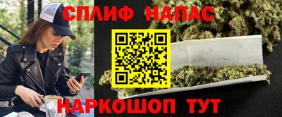 прущие грибы Апшеронск