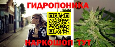 2c-b Балахна
