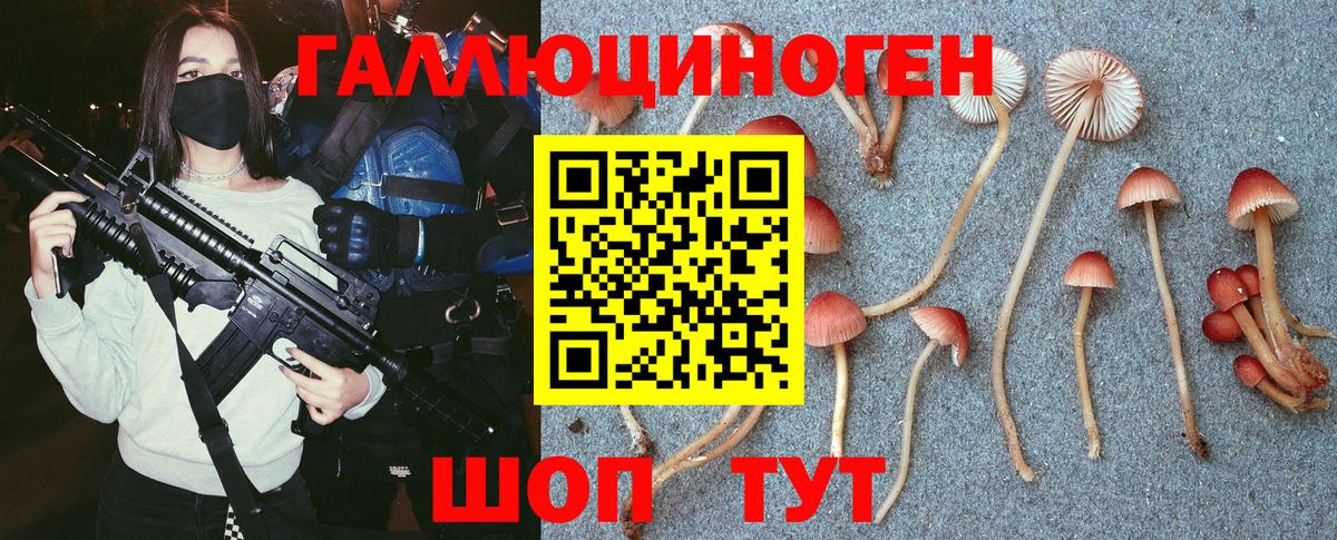 Псилоцибиновые грибы GOLDEN TEACHER Белореченск