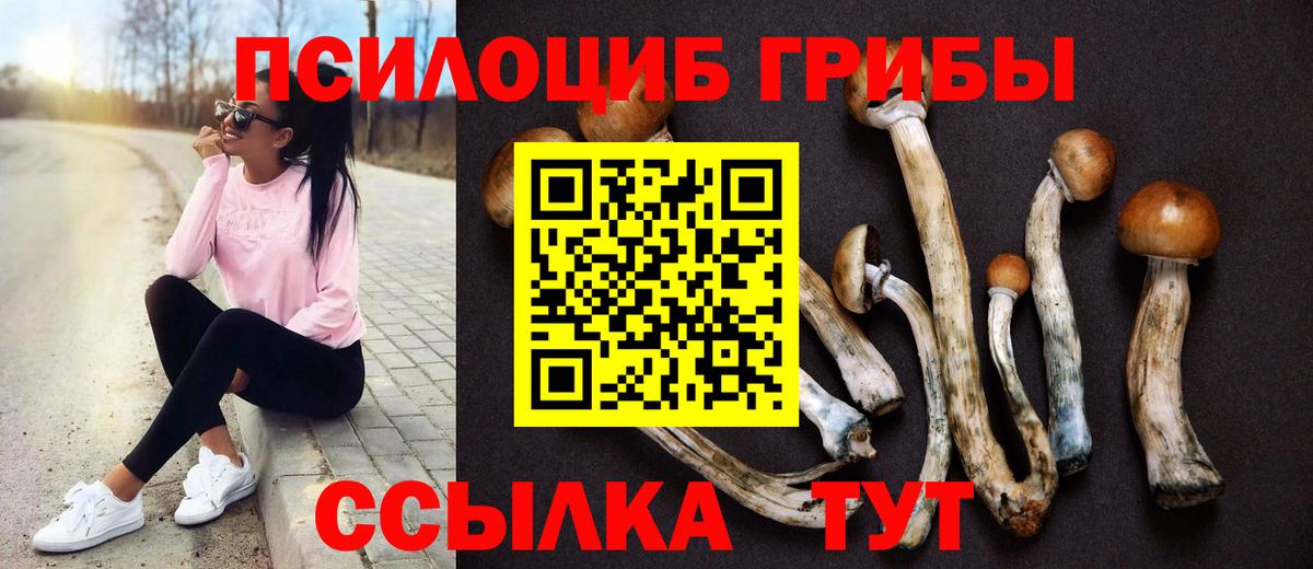 Белореченск  Галлюциногенные грибы ЛСД  Вход с VPN 