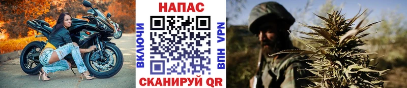 блэк спрут как зайти  Белореченск  МАРИХУАНА White Widow 